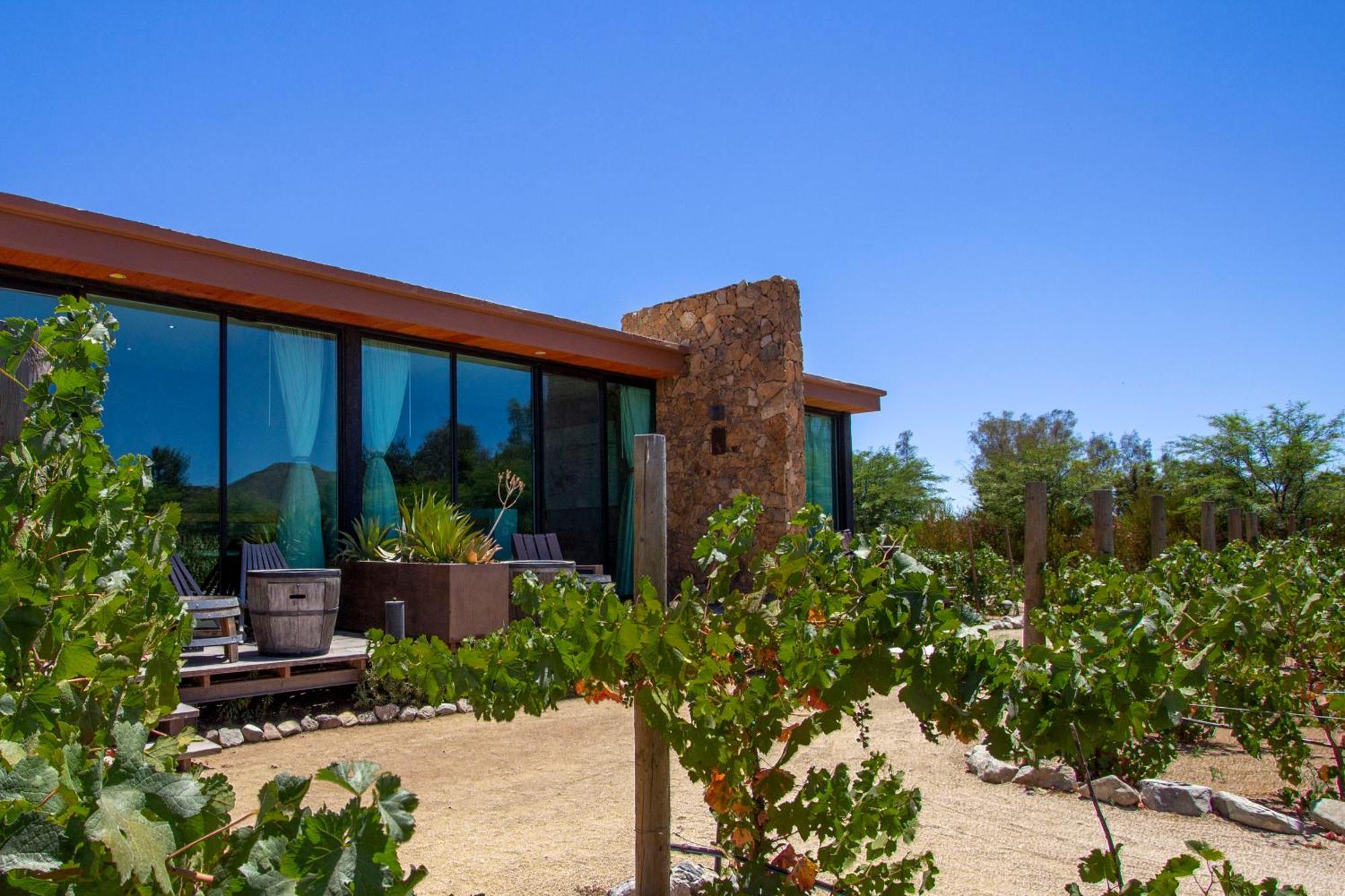 Hotel Boutique Valle De Guadalupe & Spa Camera foto