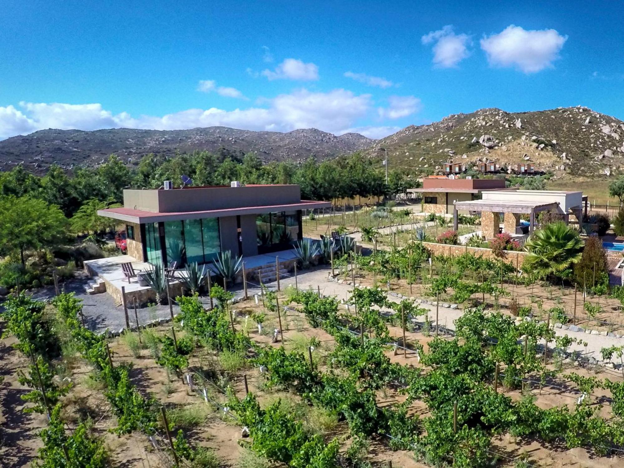 Hotel Boutique Valle De Guadalupe & Spa Camera foto