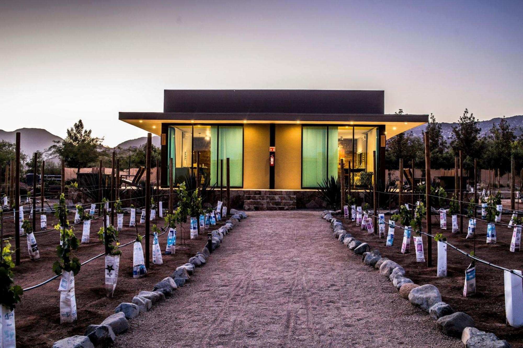 Hotel Boutique Valle De Guadalupe & Spa Camera foto